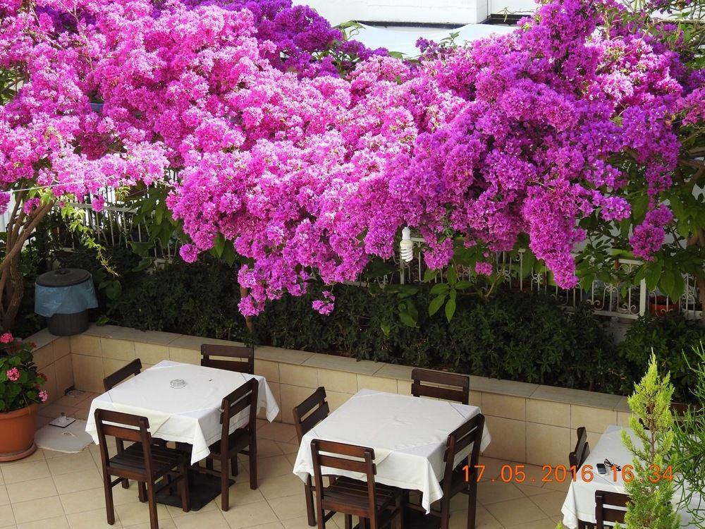 Kale Hotel Bodrum Eksteriør bilde